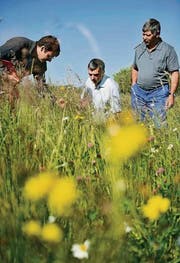 Markus Bürgisser und Jakob Rohrer begutachten die Blumen, Bauer Valentin Fässler die Juroren. (Bild: Reto Martin)