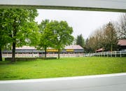 Im thurgauischen Mattwil hatte der Mann einen Reitstall gemietet - Geld dafür sah die Vermieterin immer weniger. (Bild: Andrea Stalder)