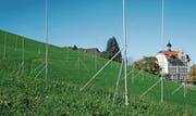 Auf der Höhe des Aussenschulhauses Zelg ist der Bau von 16 Wohnungen in vier Mehrfamilienhäusern geplant. (Bild: Peter Eggenberger)