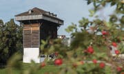Tröckneturm im Areal der Burgweier Letztmals geöffnet für die Öffentlichkeit in dieser Saison Aktion der Tourist Information Bilanz? Verknüpft mit einem gut bebilderten Augenschein. (Bild: Hanspeter Schiess)