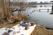 Diese Schätze wurden aus dem Nussbaumersee geholt. (Bild: pd)