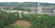 Auf dieser Rodung im Wald hinter der KVA in Weinfelden soll der neue Forsthof für das Revier Mittelthurgau gebaut werden. (Bilder: Mario Testa)