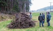 Naturschützer, Landbesitzer und Landbewirtschafter neben einem Holzhaufen, der als Wieselunterschlupf dient. (Bild: PD)