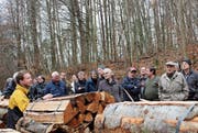Geordnet liegt das Buchen- und Eichenholz für die Meistbietenden bereit. (Bild: Manuela Olgiati)