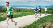 Läufer des letztjährigen Steckborner Berglaufs kurz vor dem Hoefl, im Hintergrund der Untersee. (Bild: Andrea Stalder)