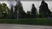 Hier standen vor einer Woche noch Bäume. Jetzt ist die Fläche braun. (Bild: Screenshot Google Maps)