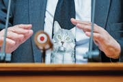 Daniel Brelaz (Grüne/VD) outete sich im Parlament als Katzenfan. (Bild: PETER KLAUNZER (KEYSTONE))