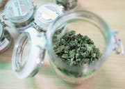 Der legale Kauf von Cannabis zu Genusszwecken bleibt auch innerhalb von Studien verboten. (Bild: Gaëtan Bally/Keystone)
