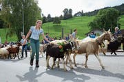 Die Ziegenherde vom Malschüel machte sich am Samstag auf den Weg ins Tal (Bilder: Corinne Hanselmann)