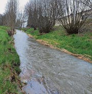 Der Giessenbach fliesst aus Weinfelden in die Landwirtschaftszone. (Bild: Nana do Carmo)