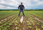 Wasser steht zwischen den Salaten: Gemüseproduzent Ralph Bötsch auf einem seiner Felder. (Bild: Reto Martin)