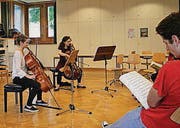 Arbeit im Atelier: «Das ist schon ein Erlebnis.» (Bild: alttoggenburger)