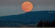 Seltener Vollmond zu Jahresbeginn (Bild: Andreas Walker)