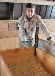 Xaver Ammann mit getrockneten Sojabohnen. (Bild: Christiana Sutter)