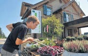 Lehrling Lucian Toszeghi bei seiner liebsten Beschäftigung, dem Pflanzengiessen. (Bilder: Nana do Carmo)