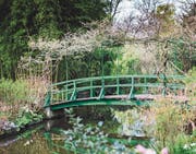 Berühmtes Motiv: Monets Garten in Giverny. (Bild: Patrick Güller)