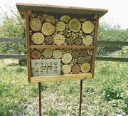 Das von den Schülern erstellte Wildbienenhotel. (Bild: PD)