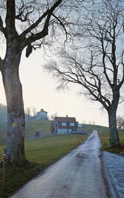 Birtweg um 2016, rechts der Vorplatz des Hauses, auf dem die Tat geschah. (Bild: Peter Abegglen)