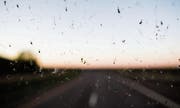 Ein Bild aus vergangenen Zeiten, als Insekten noch massenweise auf die Windschutzscheiben der Autos prallten. (Bild: Shane Cotee/Getty)