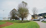 Die Wiese zwischen Sportplatz und Gehweg bei der Schulanlage Grünau ist für den Gemeinderat ein guter Standort für das Jugendhaus. (Bild: Mario Testa)