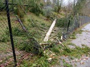 Sturmtief Burglind fegte mit Böen mit bis zu 226 Kilometern pro Stunde durch den Park. (Bild: pd)