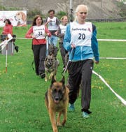 Die Teilnehmer präsentieren ihre Schäferhunde der Königsklasse der Gebrauchshunde den Richtern. (Bild: Manuela Olgiati)
