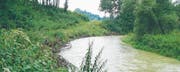 Die Glatt frass sich links unter dem Wald in die Deponie. Mit einem Naturverbau als Sofortmassnahme wurde die Erosion gestoppt. Doch das genügt noch nicht. (Bild: PD)