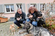Die Langs mit Mischling Stella, den Chihuahuas Admiral, Gioia und My Ruby, den Schäferhunden Ingo vom Rothaarpark und (liegend) Contra von der Bachhöhle. (Bild: Donato Caspari)