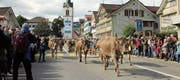 An der Alpabfahrt in Urnäsch präsentierte sich das Appenzellerland von seiner schönsten Seite. (Bilder: Patrik Kobler)