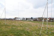 Auf dieser Wiese im Westen der Stadt Amriswil entstehen sechs Mehrfamilienhäuser mit fast hundert Wohneinheiten. (Bild: Manuel Nagel)