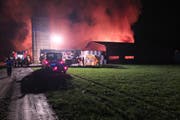 Als die Rettungskräfte eintrafen, stand der Stall schon in Vollbrand. (Bild: Kapo SG)