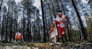 07.07.2013, Vuokatti, Finland (FIN): Daniel Hubmann (SUI) - World Orienteering championships 2013, long distance qualification. http://www.woc2013.fi. © Laiho/WOC2013. (Bild: WOC2013)
