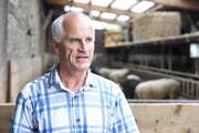 Der Druck auf Kantonstierarzt Paul Witzig nimmt beständig zu. (Bild: Donato Caspari)