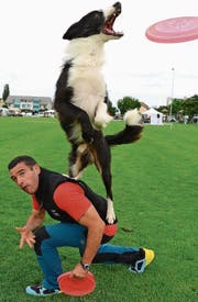Herrchen und Hund machen gemeinsame Sache. (Bild: Helio Hickl)