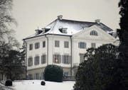 Die Lichter sind noch nicht gelöscht auf Schloss Eugensberg, in dem Rolf Erb mit seiner Familie wohnt. (Bild: Nana do Carmo (6. Januar 2009))