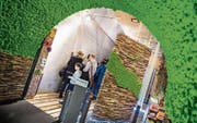 Die Sonderausstellung «Natur im Raum» zeigt, wie dekorativ zum Beispiel Moos eingesetzt werden kann. (Bild: Andrea Stalder)