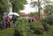 Besucherinnen und Besucher erkunden die in den Südosthang gelegte Gartenanlage. (Bilder: pd/Bruno Gschwend)