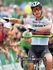 Der Slowake Peter Sagan hat seit 2011 in jedem Jahr mindestens eine Etappe der Tour de Suisse für sich entschieden. (Bild: Gian Ehrenzeller/KEY)
