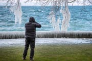 Am Bodensee in Rorschach zauberten die Kälte und die Bise Eiskunstwerke in die Landschaft. (Bild: Urs Bucher)