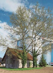 Blick auf die Silos der Zuckerfabrik. (Bild: Markus Frietsch/PD)