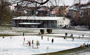 Vor allem die Kinder nutzen die Möglichkeit, sich auf dem Weiher bei der Reitwiese zu vergnügen. (Bild: Marco Cappellari)