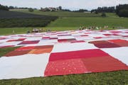 Das Bignik-Tuch, das jedes Jahr grösser wird, bleibt dieses Jahr wegen der nassen Witterung ungenutzt. (Bild: Hanspeter Schiess)