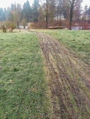 Die Wiese zwischen Ziegeleiweiher und Bahnlinie ist von Reifenspuren gezeichnet. Mitarbeiter des Eschliker Werkhofes haben dieses Bild gemacht, die Gemeinde hat es auf Facebook veröffentlicht. (Bild: PD)