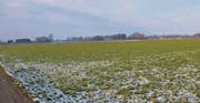 Auf höchster Gemeindegebiet gehören insgesamt rund 17 Hektaren der Ortsgemeinde St. Margrethen, aber im Gebiet Rümpleren (Bild) ist nicht überall klar, wo die Grenze verläuft. (Bild: Gert Bruderer)