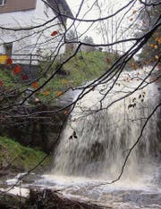 Der Wasserfall unterhalb der einstigen Klusmühle bietet ein eindrückliches Naturschauspiel. (Bild: Peter Eggenberger)