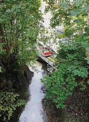 Die Steinach wird bereits in der Galluslegende beschrieben. (Bild: Hanspeter Schiess)