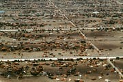 Fleisch bis zum Horizont: 150 000 Rinder verteilt auf drei Quadratkilometer kahlem Boden stehen auf einer der grössten Mastanlagen der USA in Idaho. Kein Land der Welt produziert mehr Rindfleisch als die USA. (Bild: Glowimages (Glowimages RF))