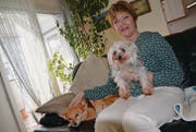Erika Wüst-Blank in ihrer Wohnung mit Luna und Jimmy, den Hunden einer Bekannten. (Bild: Philipp Haag)