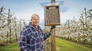 Obstbauer Hans Bischof auf seiner Kirschplantage, wo die Mauerbienen in den «BeeFarmer»-Nistkästen wohnen. (Bild: Urs Bucher)