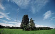 Der Windmessmast im Gebiet Waldhof-Rüteli oberhalb von Thundorf. (Bild: Reto Martin)
